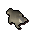 Baby chinchompa
